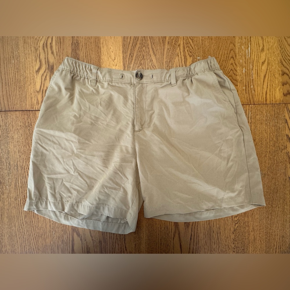 Chubbies Shorts